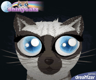 Shinycatz : jeu gratuit sur Internet, Elever un chat