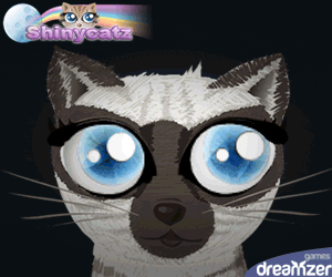 Shinycatz : jeu gratuit sur Internet, elever un chat